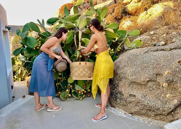 Vanita Agios Ioannis Mykonos Villa